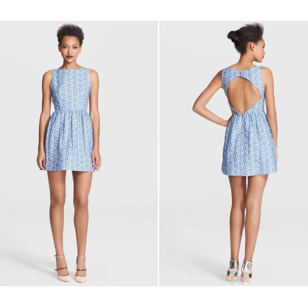 Alice+Olivia LillyAnne Fit & Flare Dress Open Back Blue Silver Floral Size 10